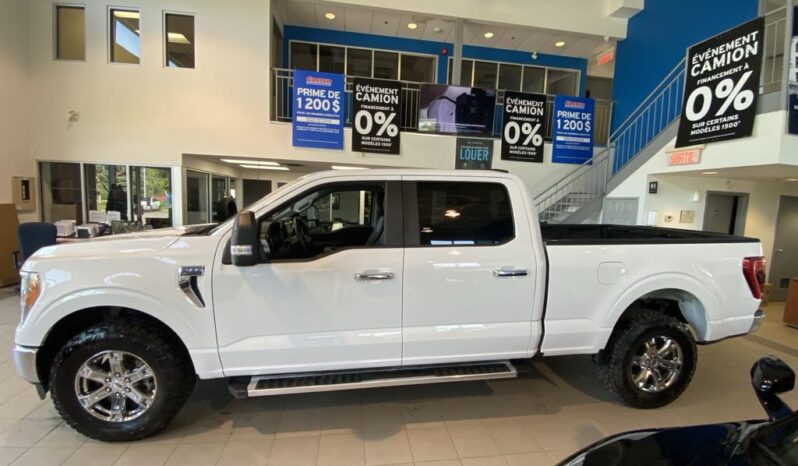 
								2023 Ford F-150 4×4 – Supercrew Xlt full									