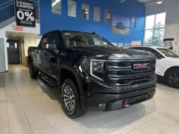
										2023 GMC Sierra 1500 Crew Cab 4×4 At4 full									
