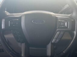
										2016 Ford F-150 4×4 – Supercrew Xlt full									