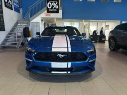 
										2019 Ford Mustang Coupe Ecoboost full									