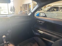 
										2019 Ford Mustang Coupe Ecoboost full									