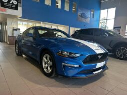 
										2019 Ford Mustang Coupe Ecoboost full									