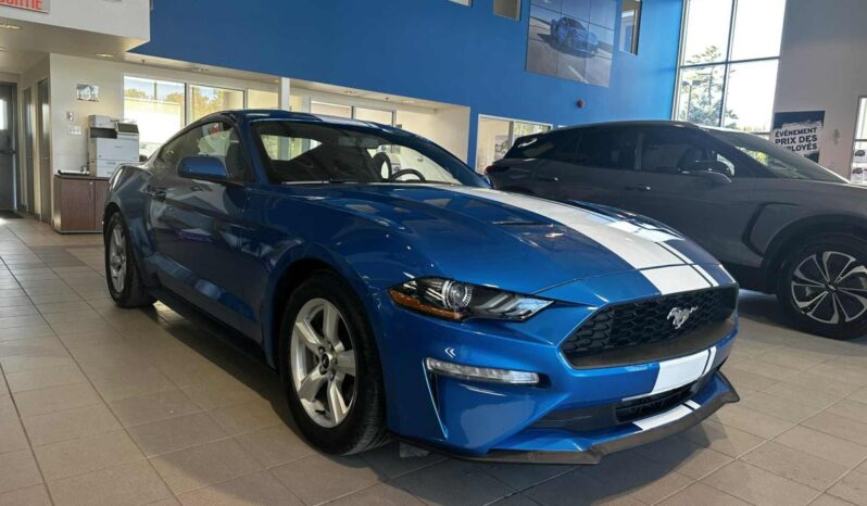 
								2019 Ford Mustang Coupe Ecoboost full									
