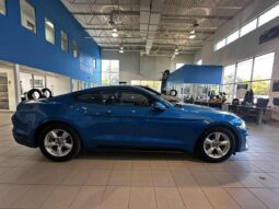 
										2019 Ford Mustang Coupe Ecoboost full									