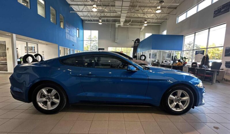 
								2019 Ford Mustang Coupe Ecoboost full									