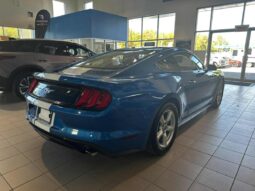 
										2019 Ford Mustang Coupe Ecoboost full									