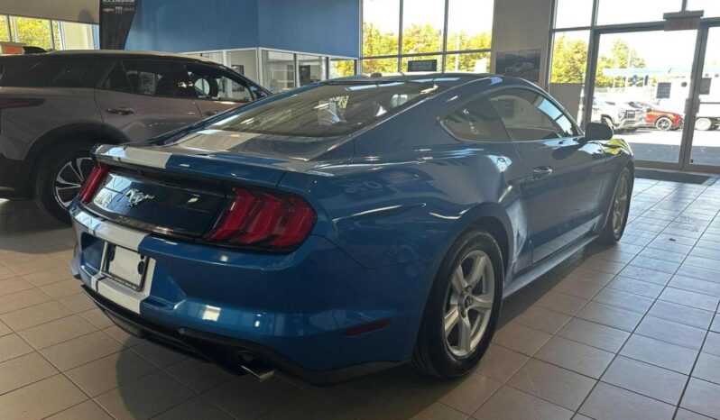 
								2019 Ford Mustang Coupe Ecoboost full									