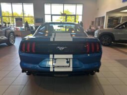 
										2019 Ford Mustang Coupe Ecoboost full									