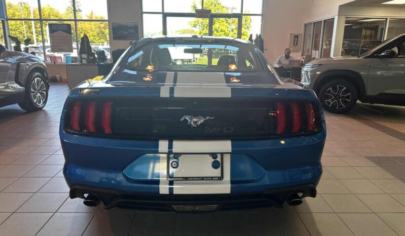 
								2019 Ford Mustang Coupe Ecoboost full									