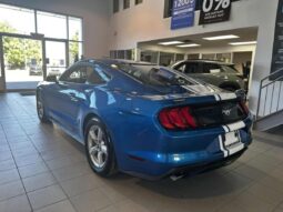 
										2019 Ford Mustang Coupe Ecoboost full									