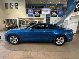 
										2019 Ford Mustang Coupe Ecoboost full									