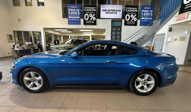 
								2019 Ford Mustang Coupe Ecoboost full									