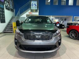 
										2019 Kia Sorento Ex Premium full									