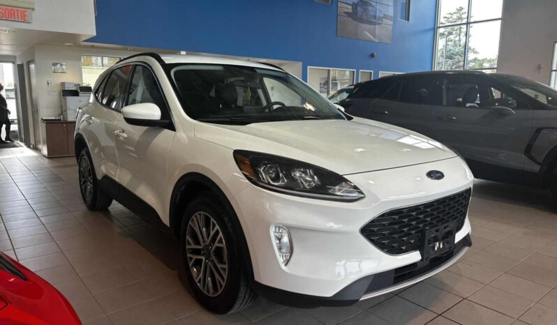 2021 Ford Escape Sel Awd 1.5l full