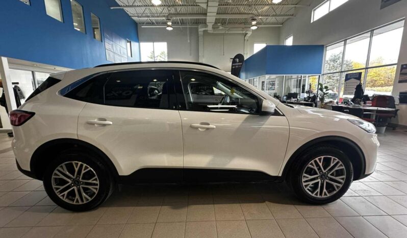 2021 Ford Escape Sel Awd 1.5l full