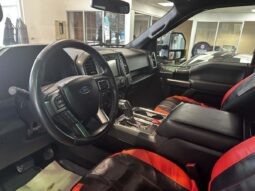 
										2020 Ford F-150 4×4 – Supercrew Xlt full									