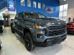 
										2026 Chevrolet Silverado 1500 Crew Cab Standard full									