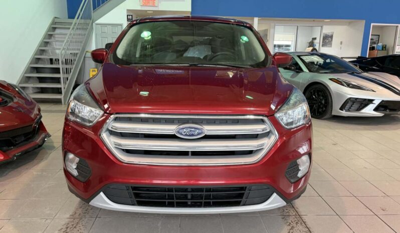 
								2019 Ford Escape Se – 4wd full									