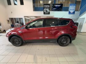 2019 Ford Escape Se – 4wd