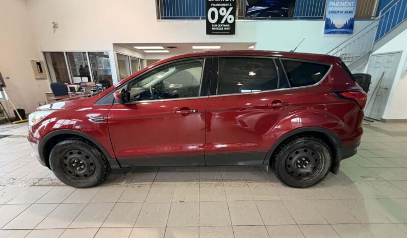 
								2019 Ford Escape Se – 4wd full									