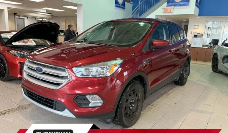 2019 Ford Escape - Used SUV - VIN: 1FMCU9GD9KUB88622 - Buckingham Chevrolet Buick GMC Gatineau