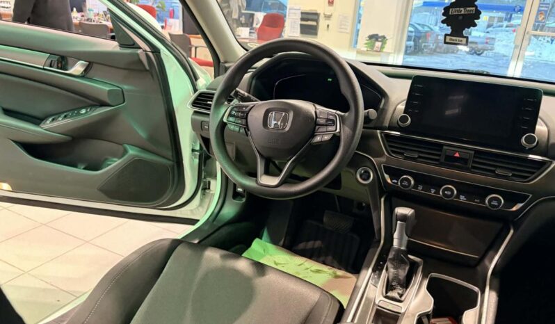 
								2020 Honda Accord Sedan Sedan Lx Cvt full									