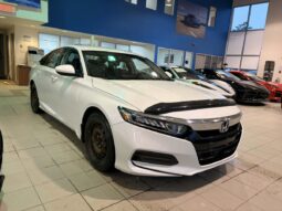 
										2020 Honda Accord Sedan Sedan Lx Cvt full									
