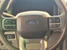 
										2025 Ford F-150 Lightning Xlt 4wd Supercrew full									