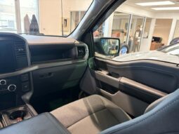 
										2025 Ford F-150 Lightning Xlt 4wd Supercrew full									