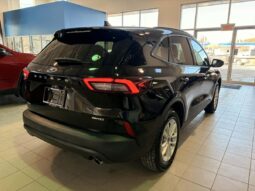 
										2025 Ford Escape St-Line Awd full									