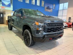 
										2026 Chevrolet Silverado 1500 Crew Cab Standard full									