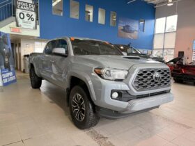 2020 Toyota Tacoma 4×4 Double Cab
