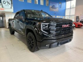 2024 GMC Sierra 1500 Crew Cab Standard