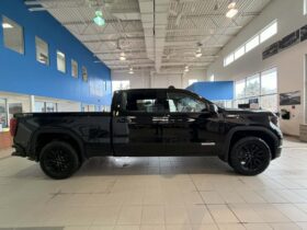 2024 GMC Sierra 1500 Crew Cab Standard