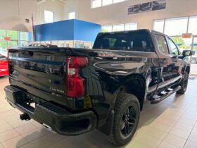 2024 Chevrolet Silverado 1500 Crew Cab Standard