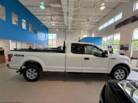 2020 Ford F-150 Xlt Awd
