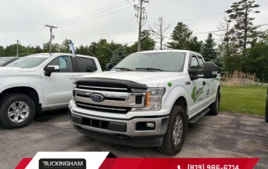 2020 Ford F-150 Xlt Awd