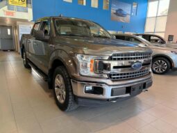 
										2018 Ford F-150 4×4 – Supercrew Xlt full									