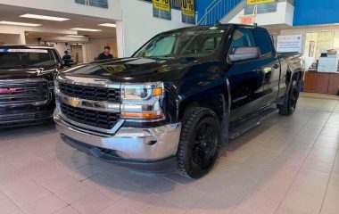 2017 Chevrolet Silverado 1500 Double Cab Standard Box 4-Wheel Drive LS