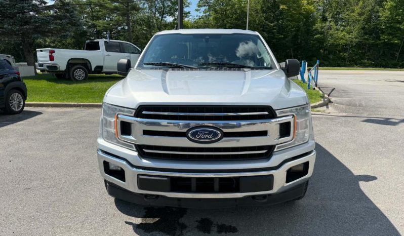 
								2019 Ford F-150 Xlt Awd full									