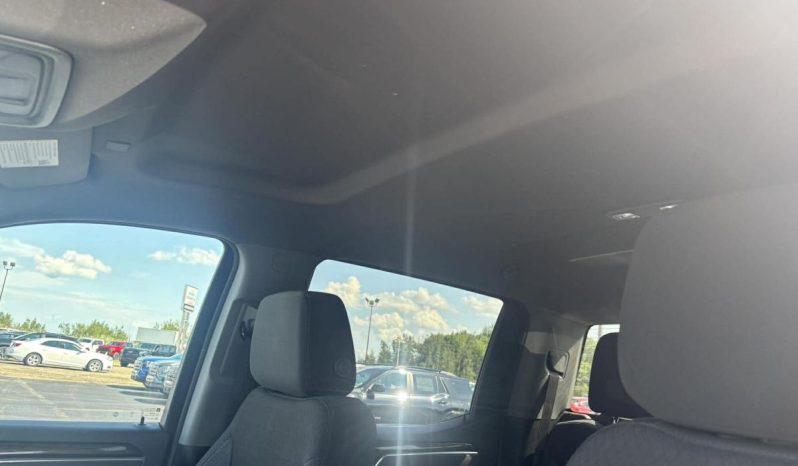 
								2025 Chevrolet Silverado 1500 Crew Cab Standard full									