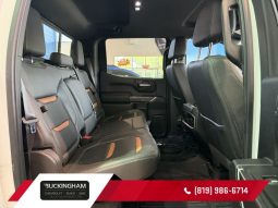 
										2020 GMC Sierra 1500 Crew Cab 4×4 At4 full									
