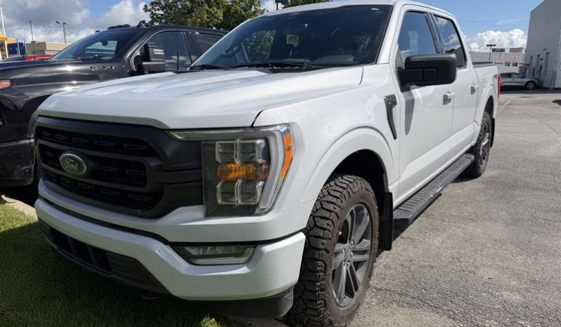 2022 Ford F-150 - Used Truck - VIN: 1FTEW1EP7NKE03937 - Buckingham Chevrolet Buick GMC Gatineau