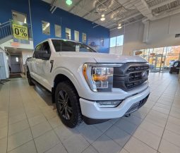 
										2022 Ford F-150 4×4 – Supercrew Xlt full									