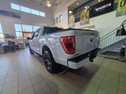 
										2022 Ford F-150 4×4 – Supercrew Xlt full									