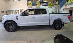 
										2022 Ford F-150 4×4 – Supercrew Xlt full									
