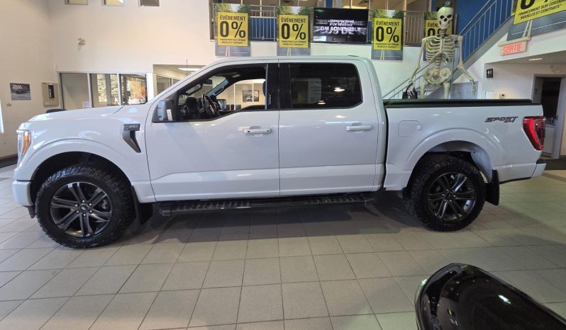 
								2022 Ford F-150 4×4 – Supercrew Xlt full									